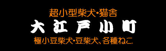 ^Č匢Ɂu]ˏvɏČEČEČ̔